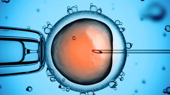 thụ tinh nhân tạo ivf thụ tinh nhân tạo ivf