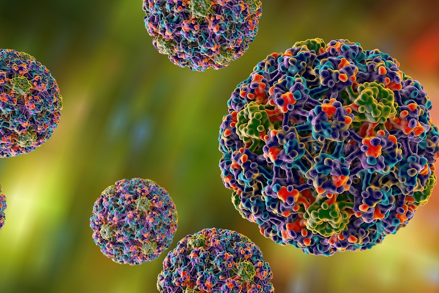 virut-hpv