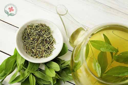 Bài thuốc chữa viêm tiết niệu hiệu quả bằng trà xanh