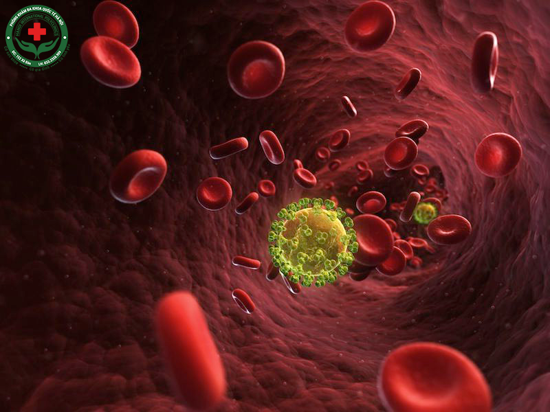 Xoắn khuẩn giang mai có thể cư trú nhiều ngày trong máu
